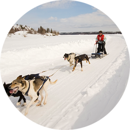 Woman dog sledding Woman dog sledding