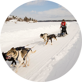 Woman dog sledding Woman dog sledding